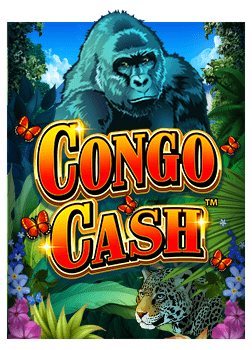 pxj เครดิต ฟรี 58 สมัคร: วิธีเล่นเกมสล็อตสุดสนุก!